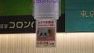 パンダのロールケーキ