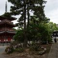 花の寺巡礼　第九番　鶴林寺　国宝・重要文化財の建物がある寺院です。