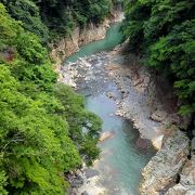 綺麗な水