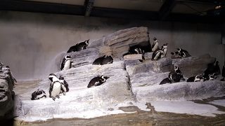 帰りがけに寄りやすい