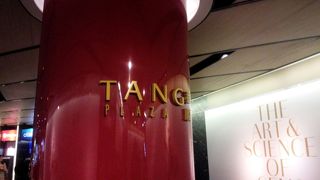 アイオンの向かい