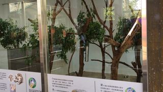 とにかく広い！