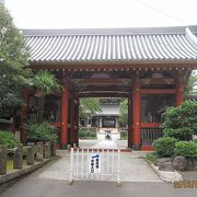 ファッショナブルな青山通りから数歩それたところに、静寂なお寺があることに驚かされます。