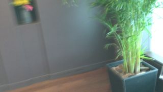 腹が立つほど混んでいる