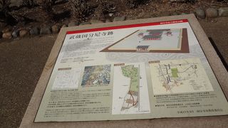 かなり大きかったことが推測されます