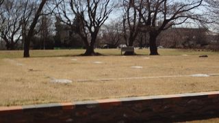 お弁当を食べている人もいました。