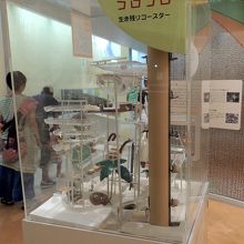 ドングリころころ生き残りゲーム　大阪市立自然史博物館