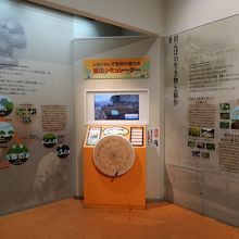 里山シュミレーター　大阪市立自然史博物館 