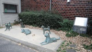 生類憐令により急増した捨て犬を飼育する収容施設