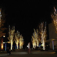 エキスポシティの年末のイルミネーション