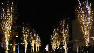 華やかな年末のエキスポシティ