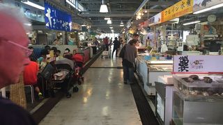 魚好きにはうれしい