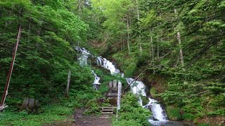 あえて行く価値は無し。