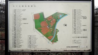 かつての哲学堂を元にした広い公園