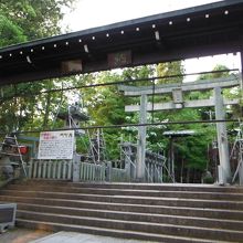 針綱神社(鳥居)