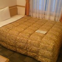 おきまりの形の部屋ですが、寝泊まりするのみなら十分です。