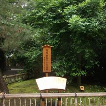 列車は２０分に１本