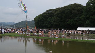 伊雑宮御田植祭