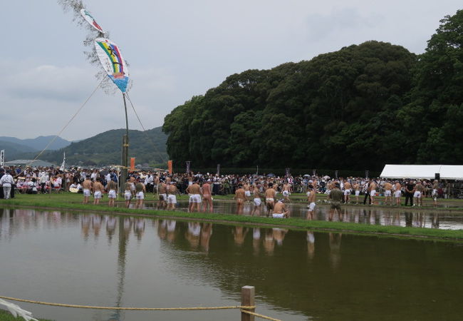 竹取神事・・・泥だらけのラガーマン