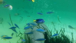 かなり広い水族館です