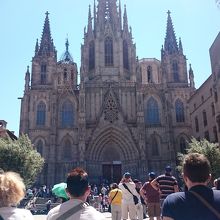 正面から全体を眺める