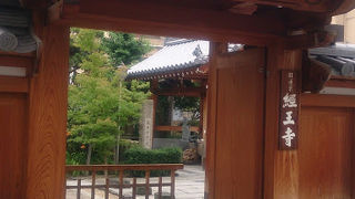 山門は建て替えたのか真新しいです