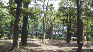 木漏れ日の中で静寂を楽しめる都会のオアシスでした。