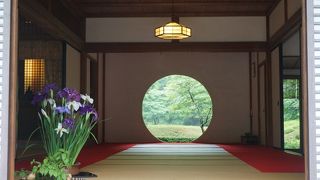 【北鎌倉】 明月院ブルーで有名なあじさい寺！
