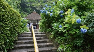 【北鎌倉】 花想い地蔵が可愛い、明月院 開山堂