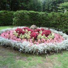 とてもきれい。