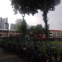 駅入口に並行して続く自転車置き場の様子