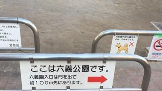 六義園に隣接