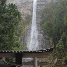 那智の大滝