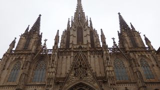 せひとも行くべきです