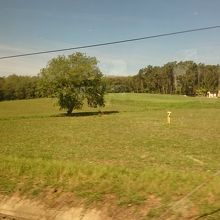 車窓からの風景