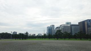 松の木が美しい