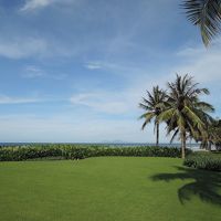 庭の手入れは完璧