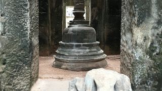 植物と遺跡の一体美