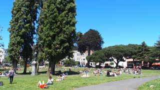 緑が美しい公園