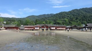 神に仕える島 厳島にある神社。