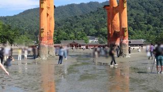 一日中観ていても飽きない景色。