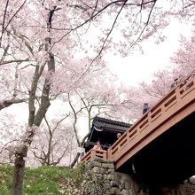 マストな撮影スポットはここ