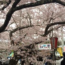 北口から出て「進徳館」あたりにある燻製の屋台もオススメ