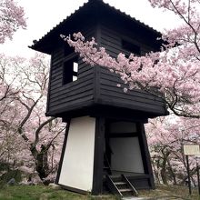 この窓から見る桜も良かったんだよなぁ〜