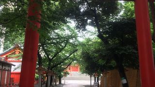 新宿の発展を見守り続ける