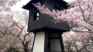 桜の時期、マストな撮影ポイント