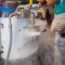 これでブシューです