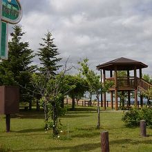 駐車場から一段上がったところ。