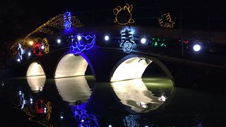 夜の台中公園はライトアップで雰囲気があり良かったです！