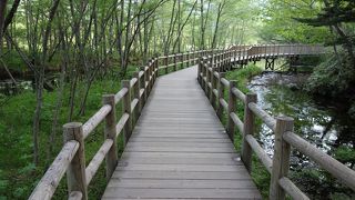 一番手軽で楽しい。